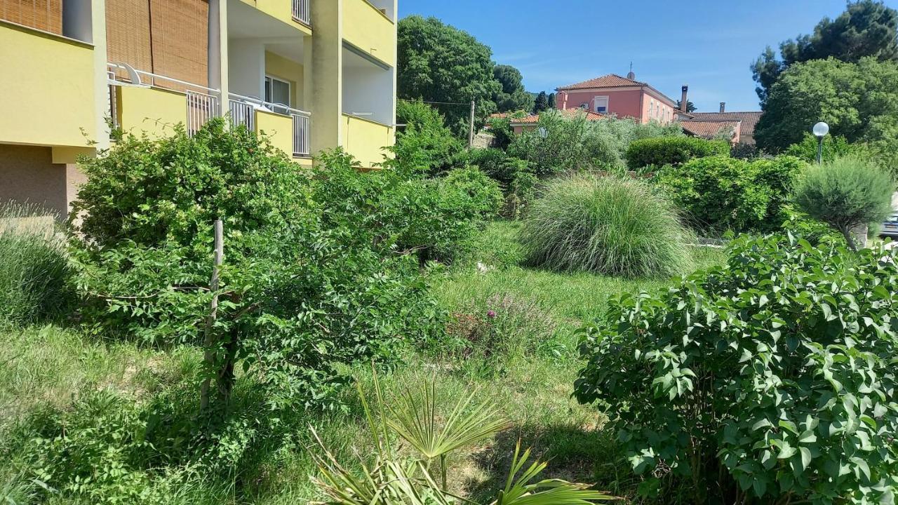 Apartment Sara - Cres Dış mekan fotoğraf